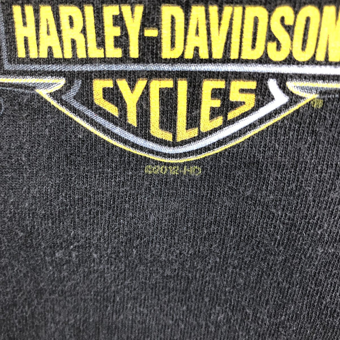 Harley-Davidson Fire Pattern Eagle Design Motorcycle Long-Sleeve T-Shirt (Men's XL equivalent) cotton black type Vintage Second Hand
