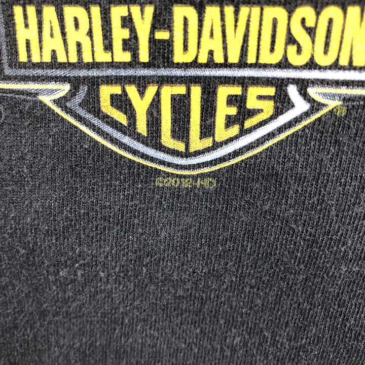Harley-Davidson Fire Pattern Eagle Design Motorcycle Long-Sleeve T-Shirt (Men's XL equivalent) cotton black type Vintage Second Hand