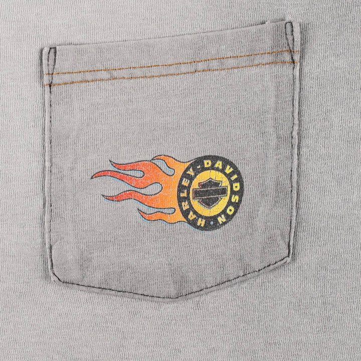 Harley Davidson Eagle Pattern Fire Pattern Motorcycle Bike T-shirt Made in USA Men's XL cotton gray type Vintage Second Hand