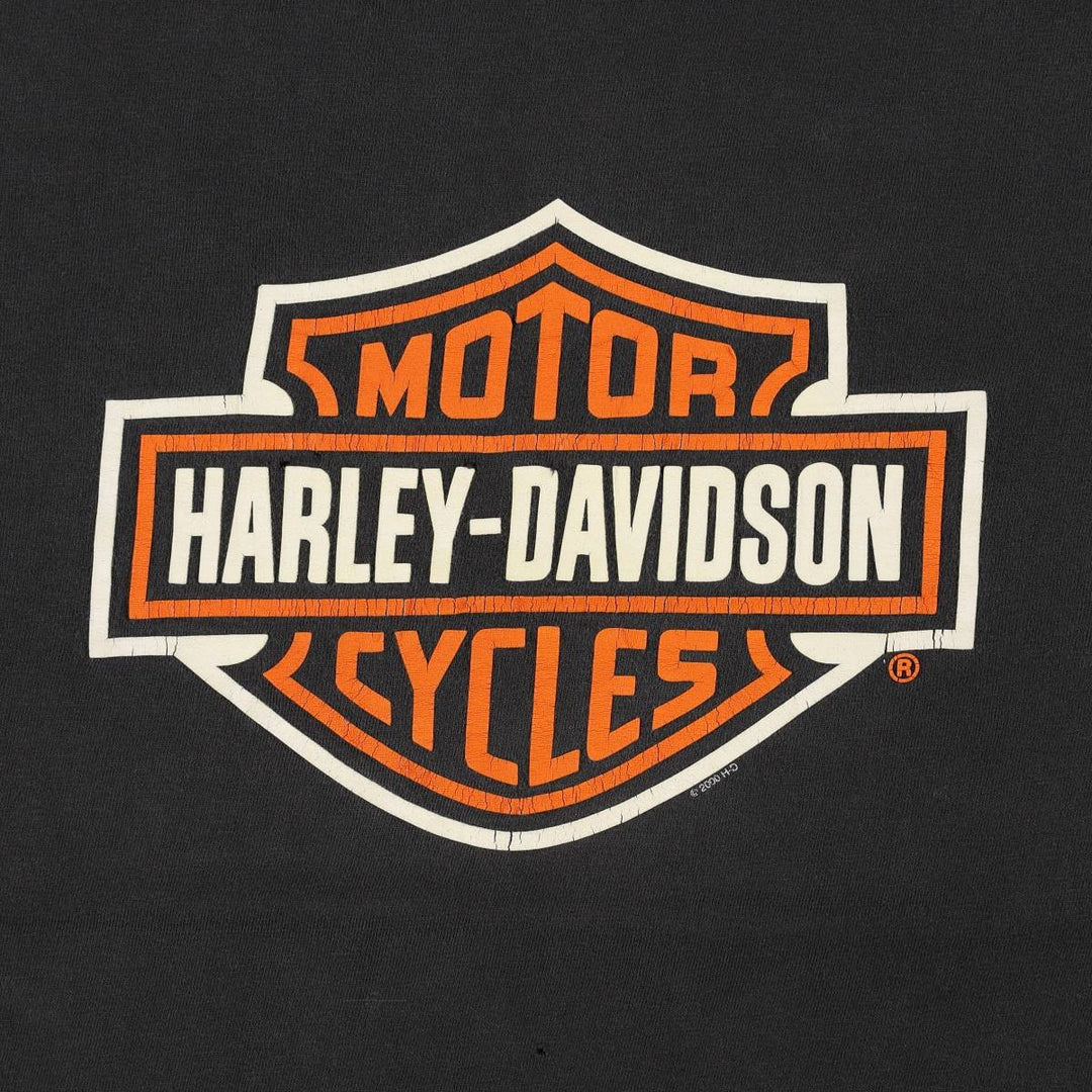 00'S Harley-Davidson Fire Pattern Motorcycle Bike T-Shirt Made in USA Men's L size cotton black type Vintage Second Hand