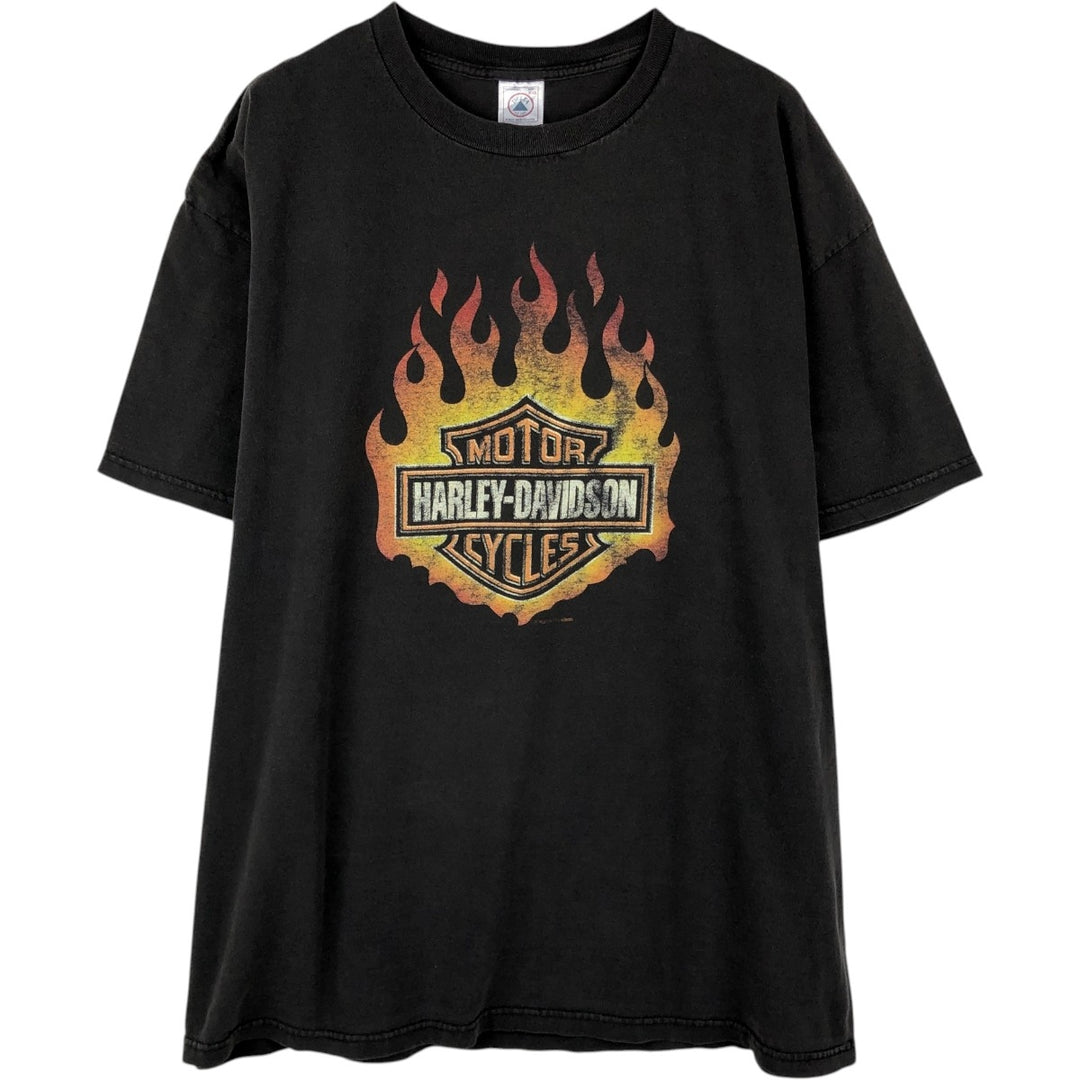 Delta PRO WEIGHT Harley-Davidson Fire Pattern Large Logo Motorcycle Bike T-Shirt, Men's XXL Equivalent cotton Charcoal Vintage Second Hand
