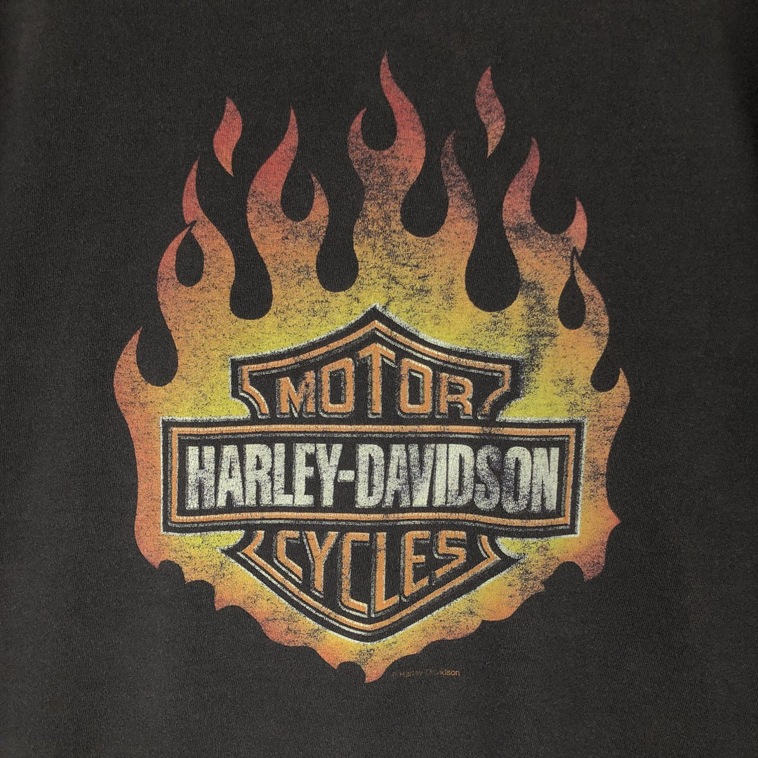 Delta PRO WEIGHT Harley-Davidson Fire Pattern Large Logo Motorcycle Bike T-Shirt, Men's XXL Equivalent cotton Charcoal Vintage Second Hand