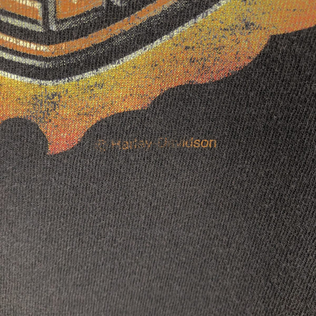 Delta PRO WEIGHT Harley-Davidson Fire Pattern Large Logo Motorcycle Bike T-Shirt, Men's XXL Equivalent cotton Charcoal Vintage Second Hand