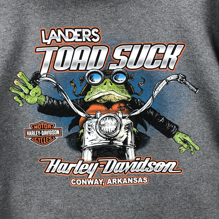 Harley-Davidson Advertising Pullover Hoodie, Men's Size Medium cotton gray type Vintage Second Hand
