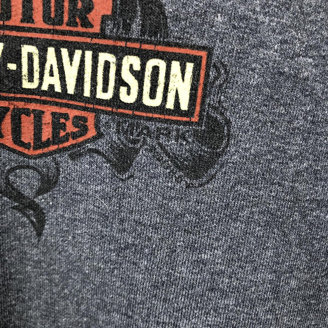 Harley-Davidson Fire Pattern Eagle Pattern Tribal Sweat Full-Zip Hoodie, Men's XXL Equivalent cotton Charcoal Vintage Second Hand
