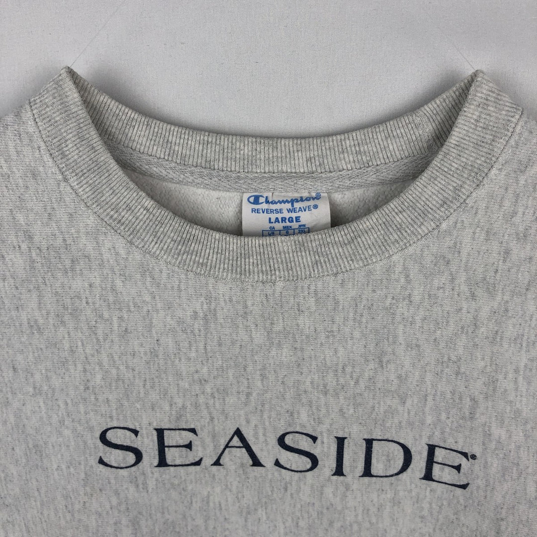 Champion REVERSE WEAVE Reverse Weave Printed Sweatshirt Trainer Men's L size cotton gray type Vintage Second Hand