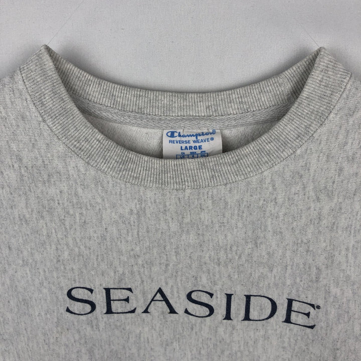 Champion REVERSE WEAVE Reverse Weave Printed Sweatshirt Trainer Men's L size cotton gray type Vintage Second Hand