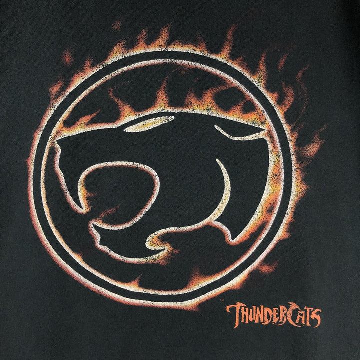 Delta ThunderCats character print T-shirt, men's size M. cotton black type Vintage Second Hand