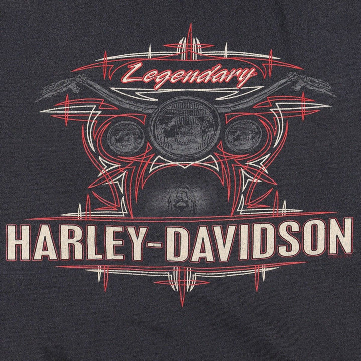 Hanes Harley-Davidson Motorcycle T-Shirt, Men's XL cotton black type Vintage Second Hand