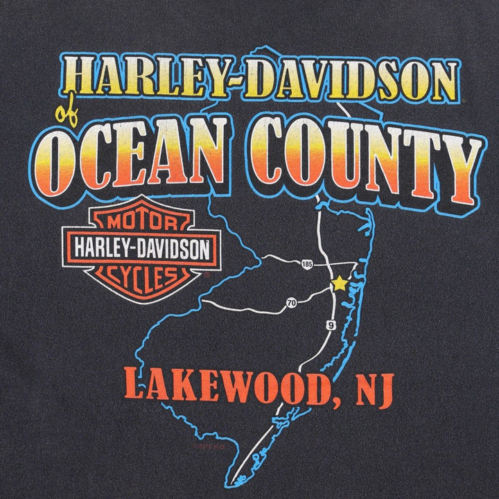 Hanes Harley-Davidson Motorcycle T-Shirt, Men's XL cotton black type Vintage Second Hand