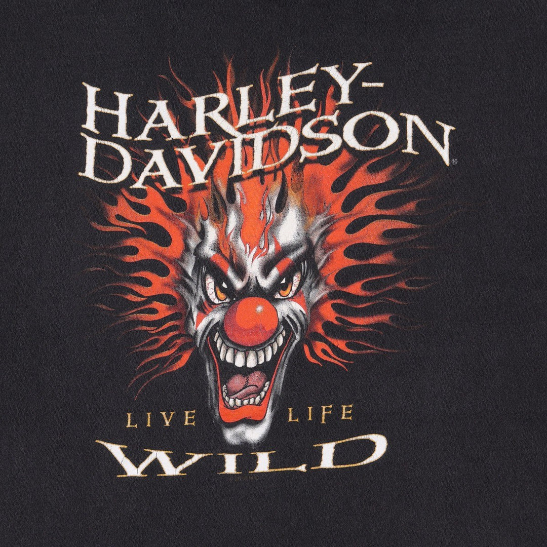 Hanes Harley-Davidson Motorcycle T-Shirt, Made in USA, Men's Size XL cotton black type Vintage Second Hand