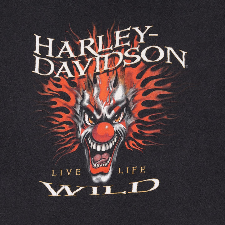 Hanes Harley-Davidson Motorcycle T-Shirt, Made in USA, Men's Size XL cotton black type Vintage Second Hand