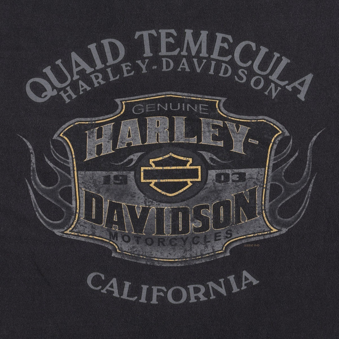 Hanes Harley-Davidson Motorcycle T-Shirt, Made in USA, Men's Size XL cotton black type Vintage Second Hand