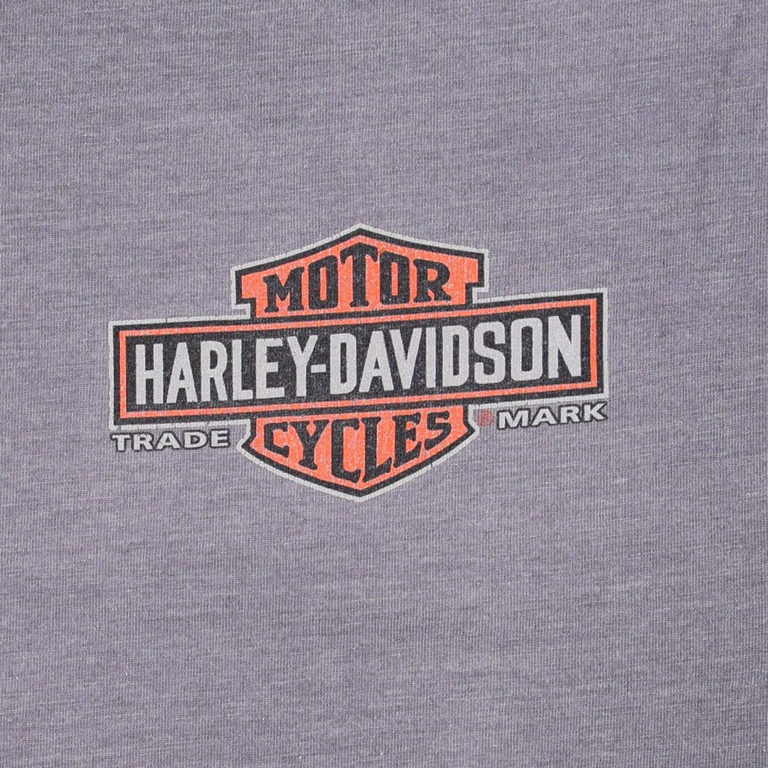 Hanes Harley-Davidson Motorcycle T-Shirt, Men's XXL (approx.) cotton purple type Vintage Second Hand
