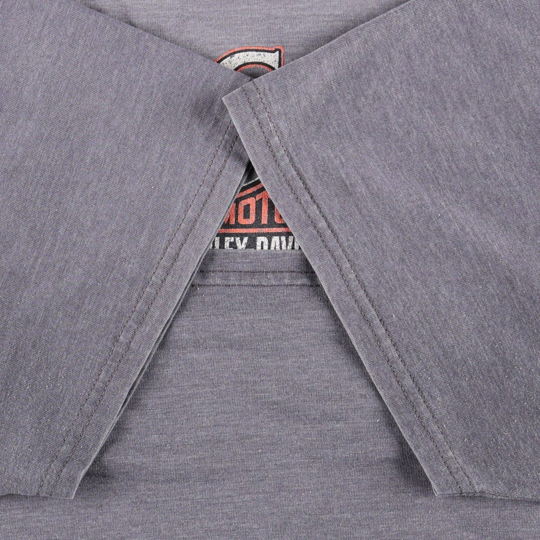 Hanes Harley-Davidson Motorcycle T-Shirt, Men's XXL (approx.) cotton purple type Vintage Second Hand