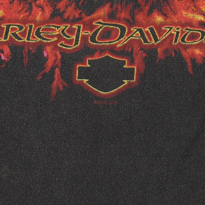 2000'S Harley-Davidson Animal Pattern Fire Pattern Motorcycle T-Shirt, Made in USA, Men's XXL equivalent. cotton Charcoal Vintage Second Hand