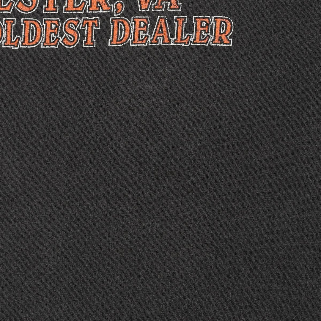 2000'S Harley-Davidson Animal Pattern Fire Pattern Motorcycle T-Shirt, Made in USA, Men's XXL equivalent. cotton Charcoal Vintage Second Hand