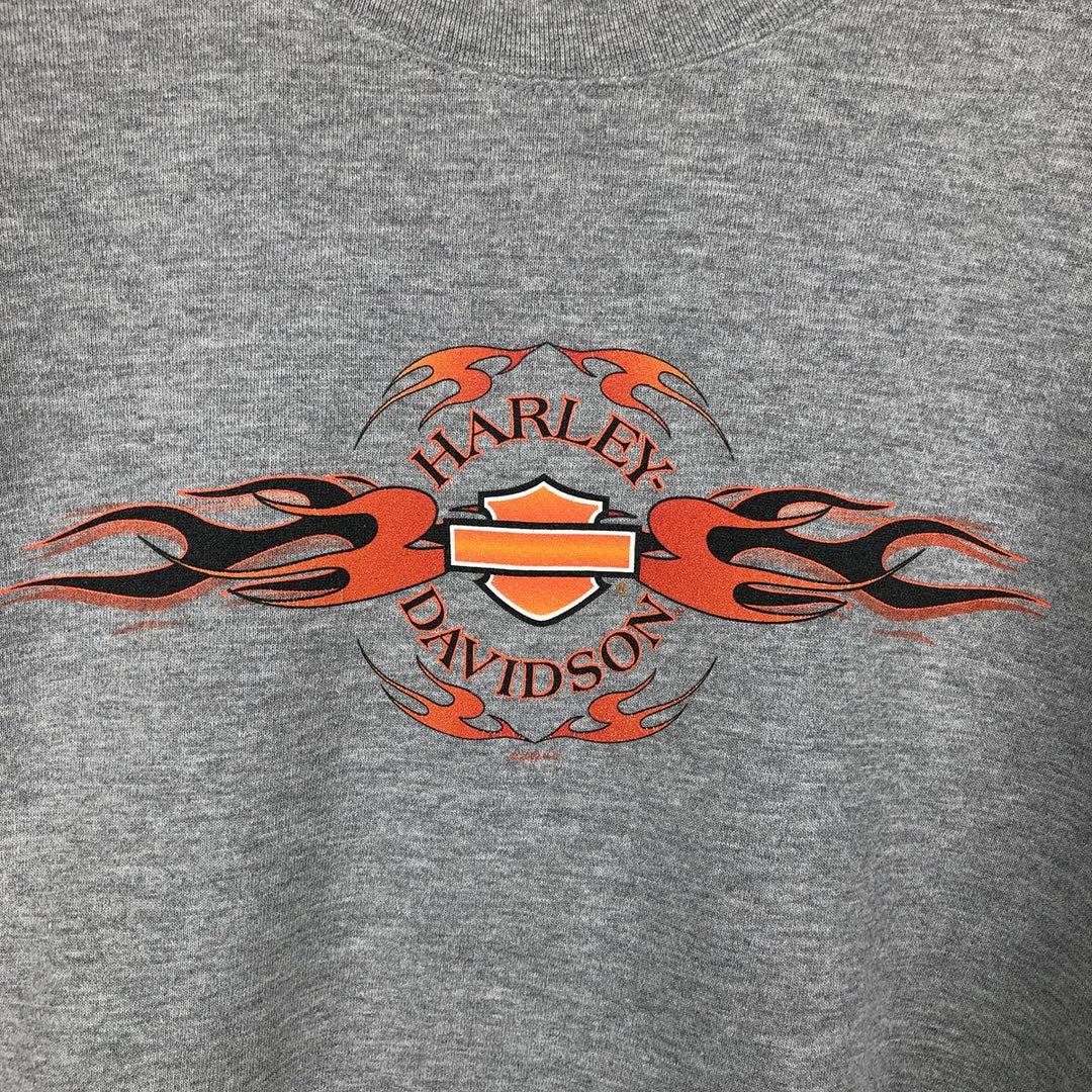 2000'S Harley-Davidson Fire Pattern Advertising Sweatshirt (Men's Size L) cotton gray type Vintage Second Hand
