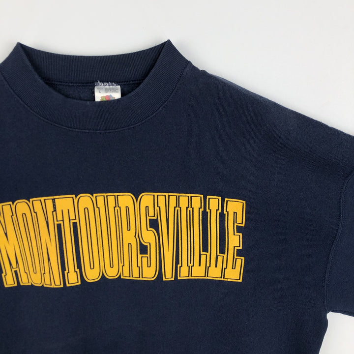 90'S Fruit of the Loom College Sweatshirt, Made in USA, Men's Size L, Vintage cotton navy blue type Vintage Second Hand