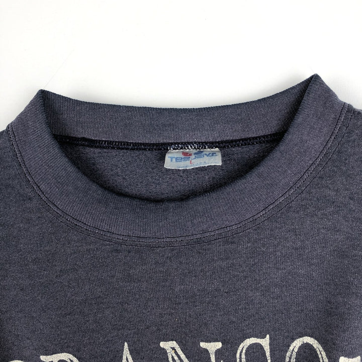 90'S TEE JAYS Print Sweatshirt, Made in USA, Men's Size L (approx.), Vintage cotton Navy blue Vintage Second Hand