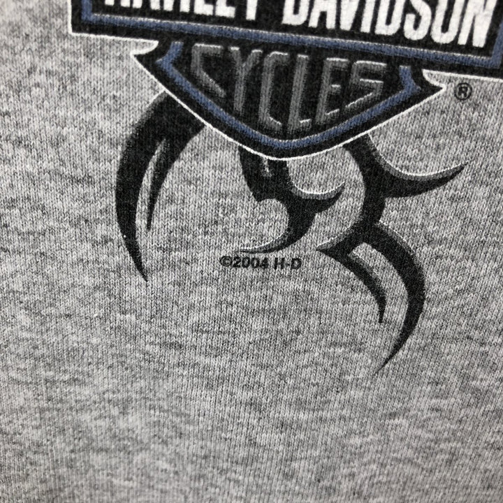 2000'S Harley-Davidson American flag pattern Henley neck long-sleeve T-shirt, made in USA, men's size L equivalent. unclear gray type Vintage Second Hand