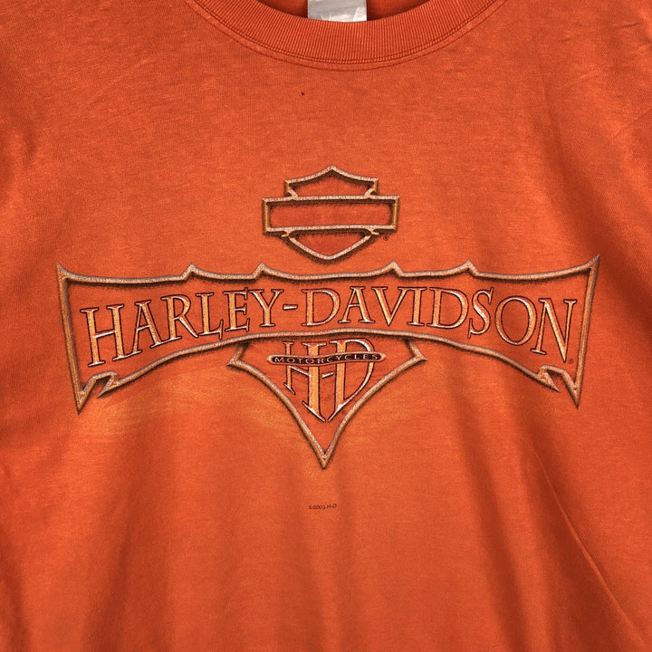Hanes Harley-Davidson Long-Sleeve T-Shirt, Made in USA, Men's Size L (equivalent) cotton orange type Vintage Second Hand