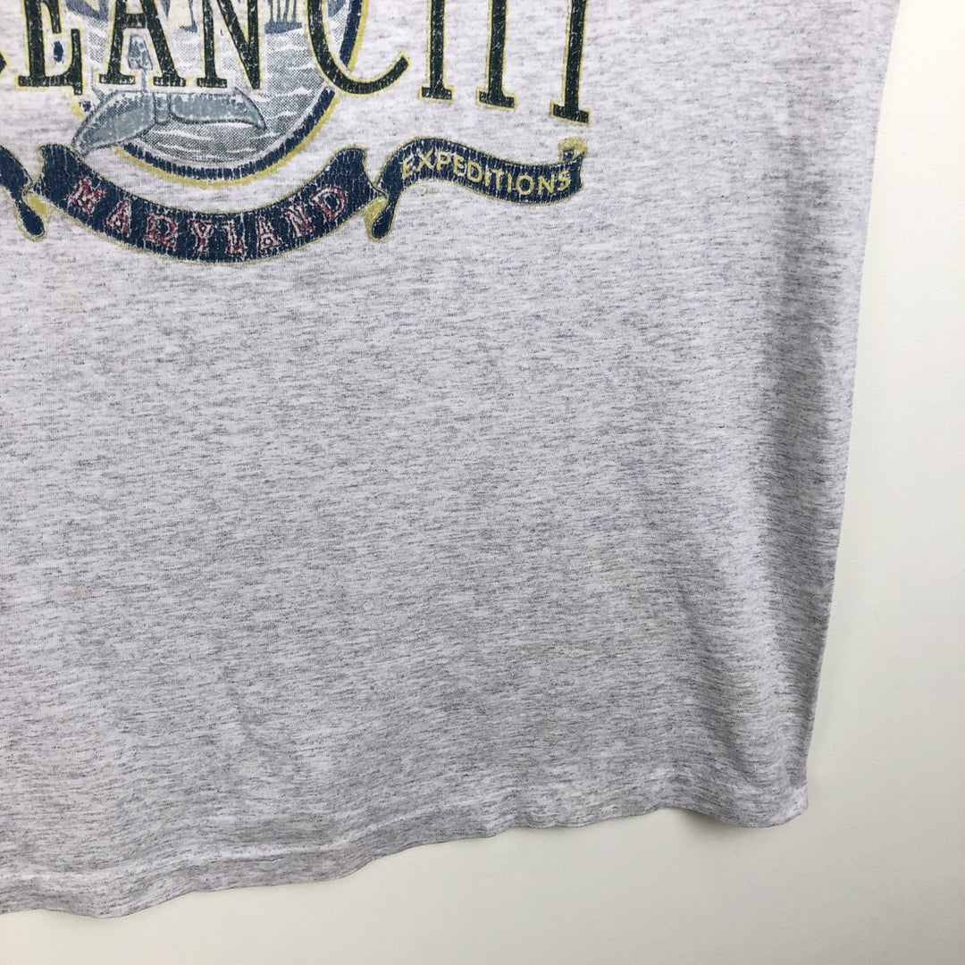 90'S Anvil PRE-SHRUN Animal Pattern Long-Sleeve T-Shirt, Made in USA, Men's Size L (Equivalent), Vintage cotton gray type Vintage Second Hand