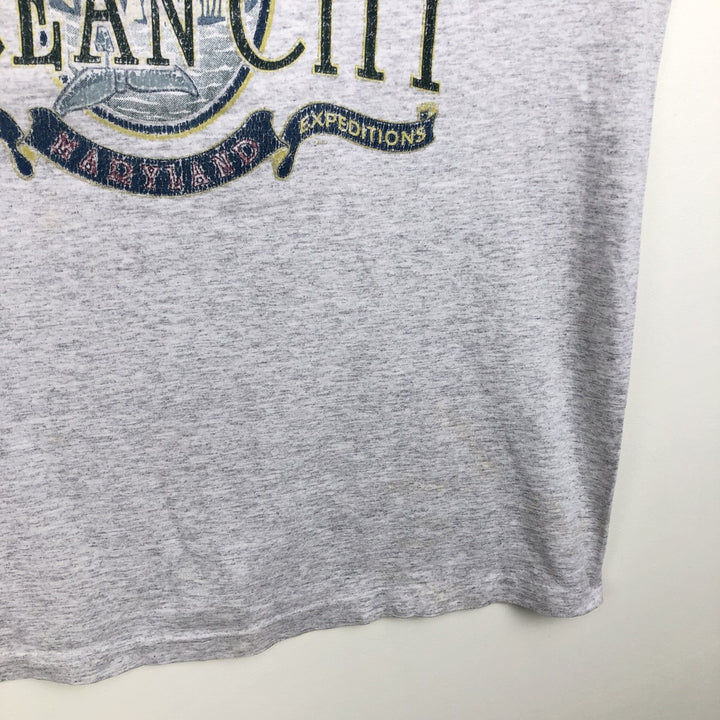 90'S Anvil PRE-SHRUN Animal Pattern Long-Sleeve T-Shirt, Made in USA, Men's Size L (Equivalent), Vintage cotton gray type Vintage Second Hand