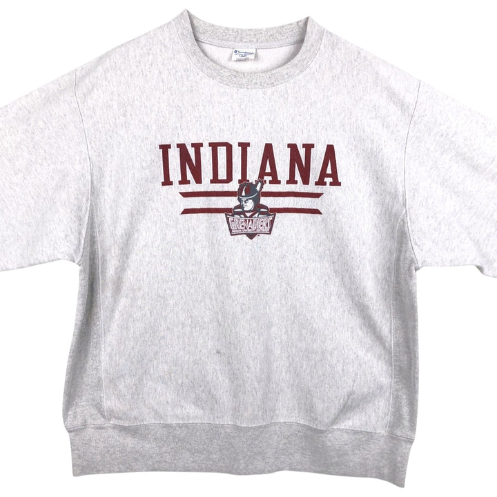 Champion Reverse Weave College Sweatshirt (Men's Size L) unclear gray type Vintage Second Hand