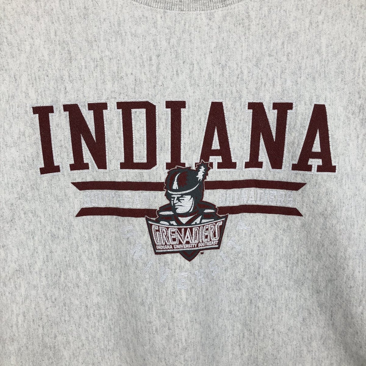 Champion Reverse Weave College Sweatshirt (Men's Size L) unclear gray type Vintage Second Hand