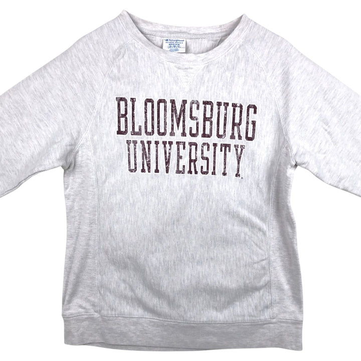 2000'S Champion Reverse Weave College Sweatshirt, Men's Size Medium cotton gray type Vintage Second Hand