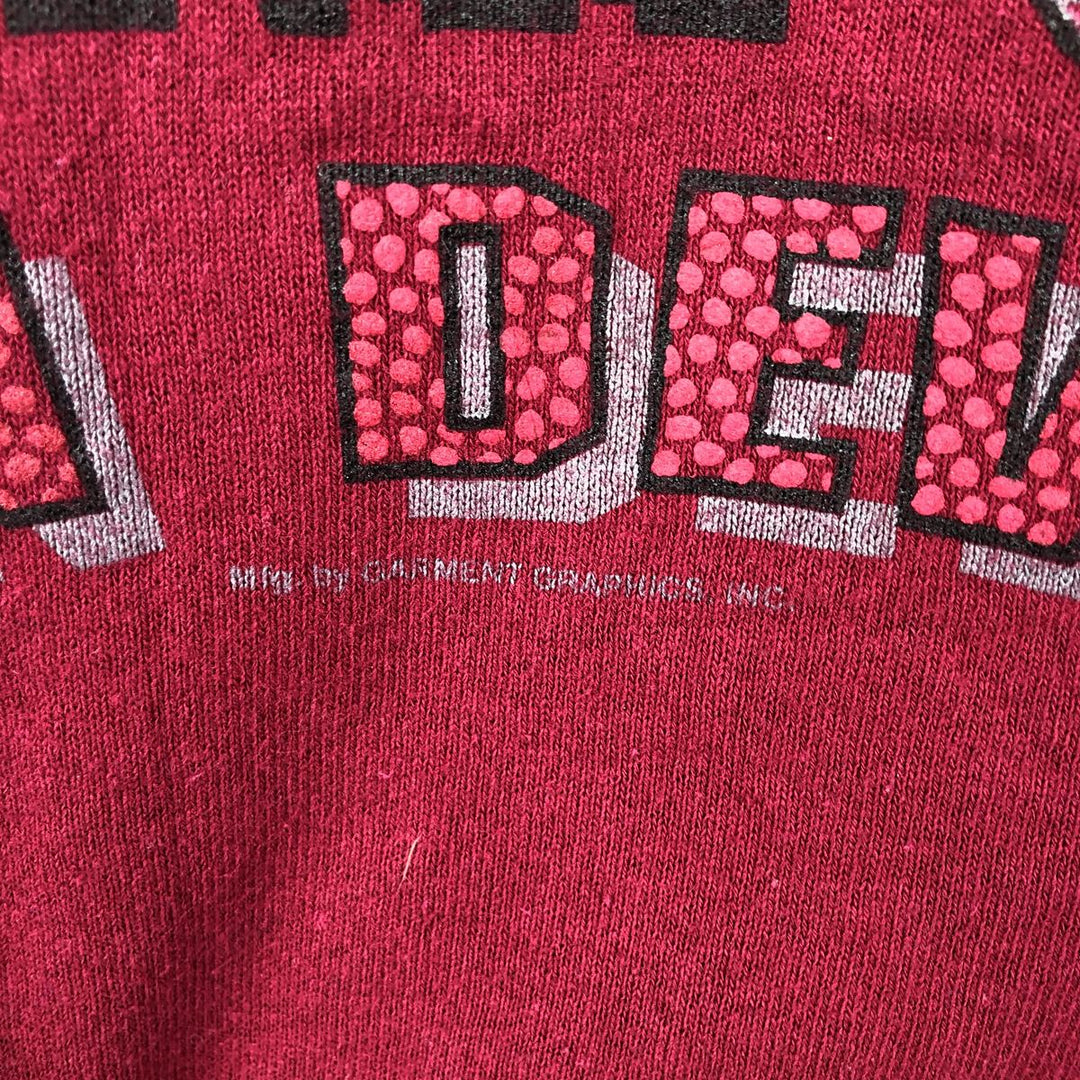 90'S Fruit of the Loom College Sweatshirt, Made in USA, Men's Size L, Vintage cotton red type Vintage Second Hand