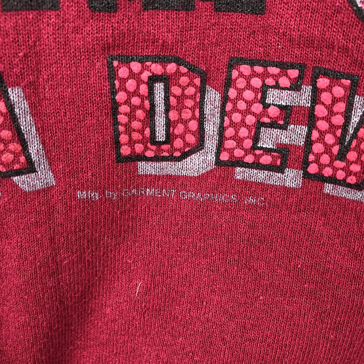90'S Fruit of the Loom College Sweatshirt, Made in USA, Men's Size L, Vintage cotton red type Vintage Second Hand