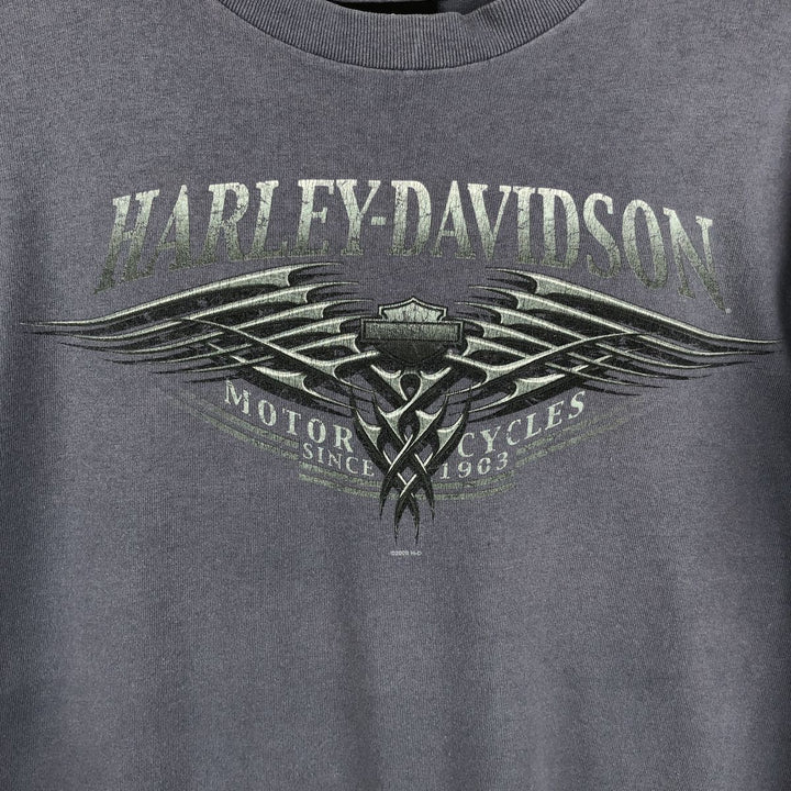 2000'S Harley-Davidson Motorcycle Long-Sleeve T-Shirt, Made in USA, Men's Size M (approx.) cotton Blue type light blue Vintage Second Hand