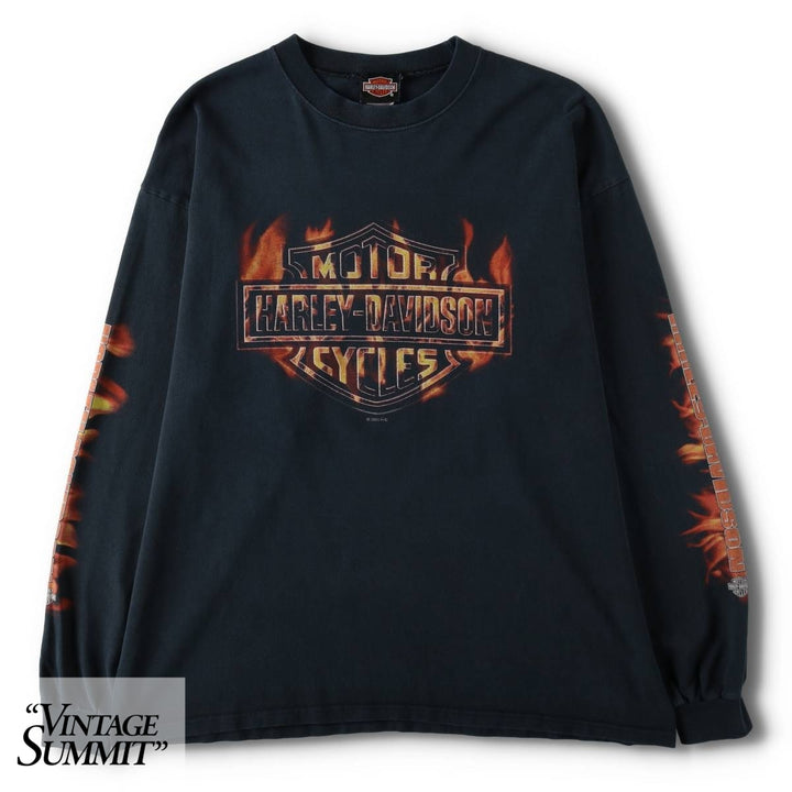2000'S Harley-Davidson Eagle Pattern Motorcycle Fire Pattern Long-Sleeve T-Shirt (Men's XL equivalent) cotton black type Vintage Second Hand