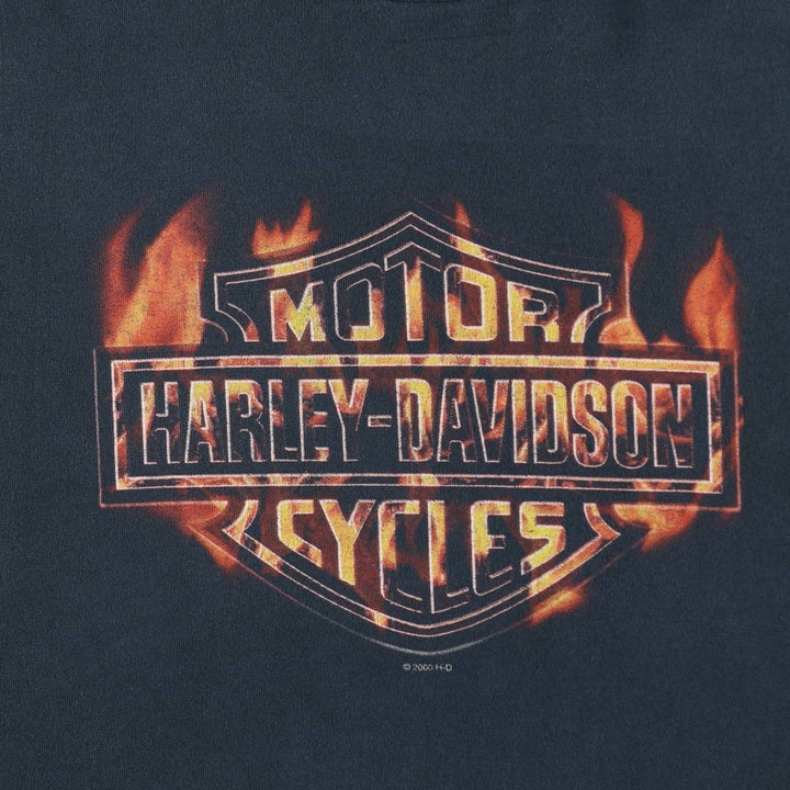 2000'S Harley-Davidson Eagle Pattern Motorcycle Fire Pattern Long-Sleeve T-Shirt (Men's XL equivalent) cotton black type Vintage Second Hand