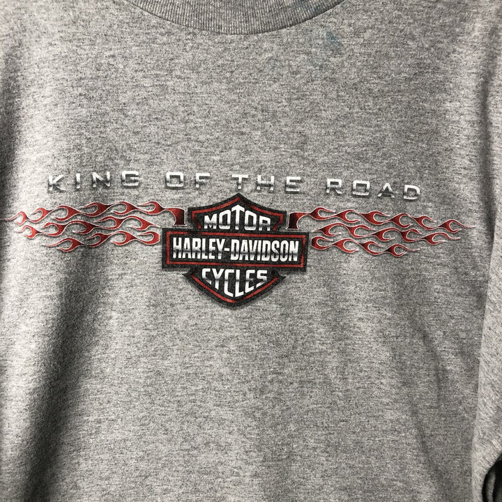 00'S Harley-Davidson Fire Pattern Long Sleeve T-Shirt Made in USA Men's XXL cotton gray type Vintage Second Hand