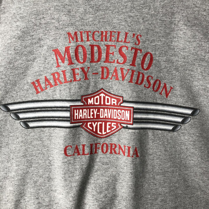 00'S Harley-Davidson Fire Pattern Long Sleeve T-Shirt Made in USA Men's XXL cotton gray type Vintage Second Hand