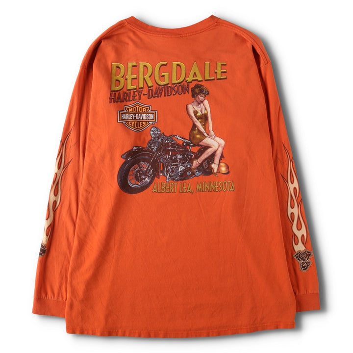 2000'S Harley-Davidson Pin-Up Girl Fire Pattern Long Sleeve T-Shirt, Made in USA, Men's Size XL cotton orange type Vintage Second Hand