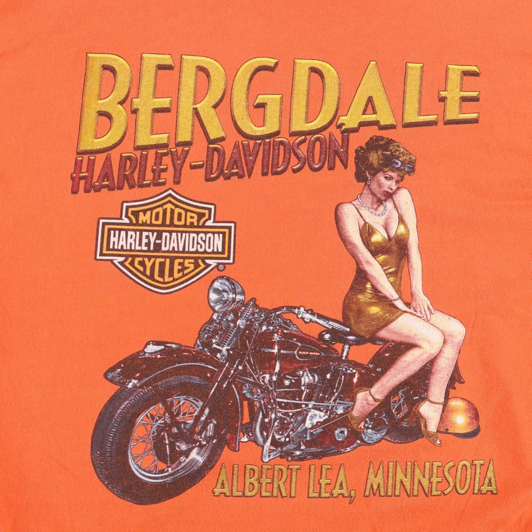 2000'S Harley-Davidson Pin-Up Girl Fire Pattern Long Sleeve T-Shirt, Made in USA, Men's Size XL cotton orange type Vintage Second Hand