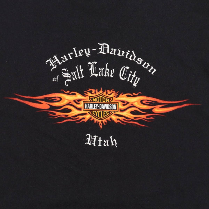 2000'S Harley-Davidson Fire Pattern Motorcycle Long-Sleeve T-Shirt (Men's XL equivalent) cotton black type Vintage Second Hand