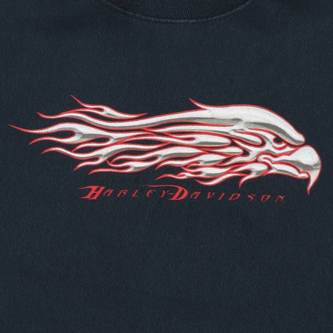 2000'S Harley-Davidson Fire Pattern Eagle Pattern Motorcycle Long-Sleeve T-Shirt, Made in USA, Men's XXL equivalent. cotton black type Vintage Second Hand