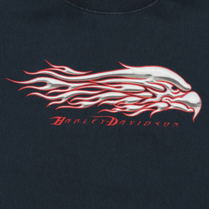 2000'S Harley-Davidson Fire Pattern Eagle Pattern Motorcycle Long-Sleeve T-Shirt, Made in USA, Men's XXL equivalent. cotton black type Vintage Second Hand