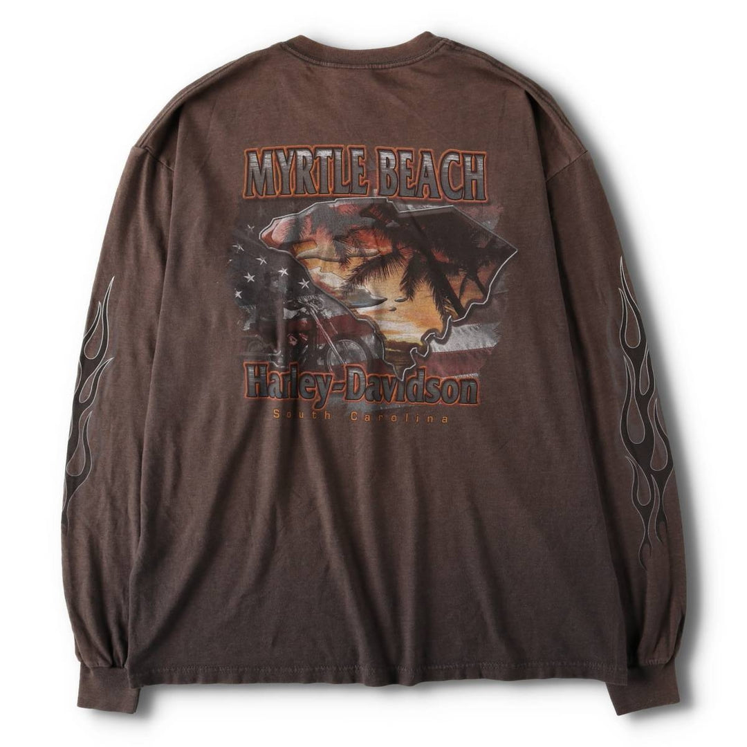 2000'S Harley-Davidson Fire Pattern Long Sleeve T-Shirt, Made in USA, Men's XL cotton Charcoal Vintage Second Hand