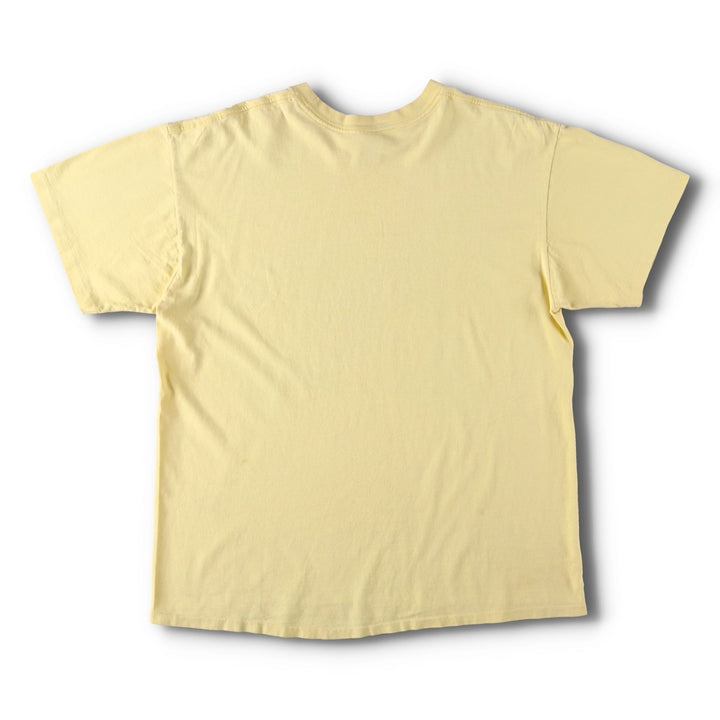 90'S Anvil Pierre-Auguste Renoir Chrysanthemum Floral Art T-Shirt, Made in USA, Men's XL equivalent, Vintage cotton Beige type Vintage Second Hand