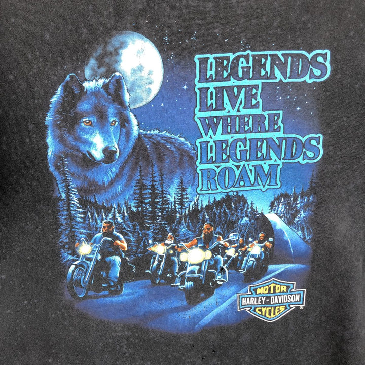 90'S Harley-Davidson Wolf Pattern Motorcycle T-Shirt, Made in USA, Men's Size XL (approx.) cotton navy blue type Vintage Second Hand