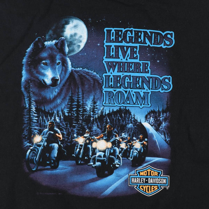 Harley-Davidson Animal Pattern Motorcycle T-Shirt, Made in USA, Men's XXL equivalent. cotton black type Vintage Second Hand