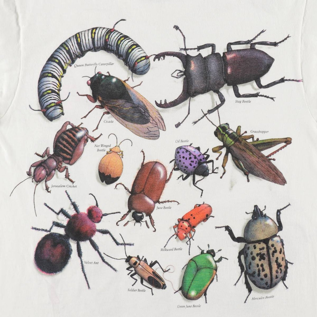 90'S Hanes BEEFY-T insect print t-shirt, men's size M equivalent, vintage. cotton black type Vintage Second Hand