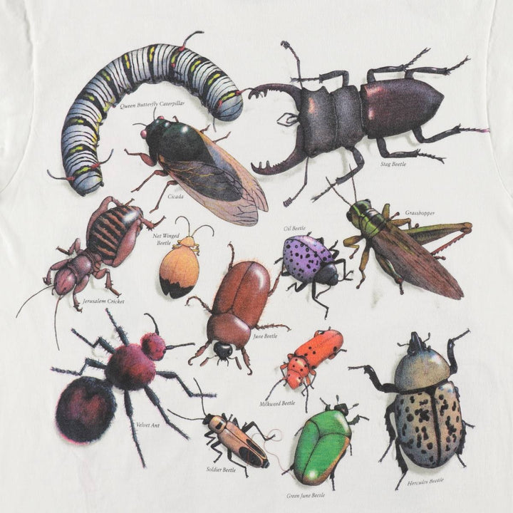 90'S Hanes BEEFY-T insect print t-shirt, men's size M equivalent, vintage. cotton black type Vintage Second Hand
