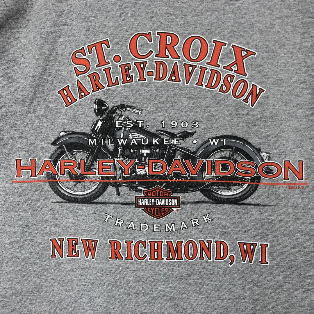 Harley-Davidson Long Sleeve T-Shirt, Men's Size L cotton gray type Vintage Second Hand
